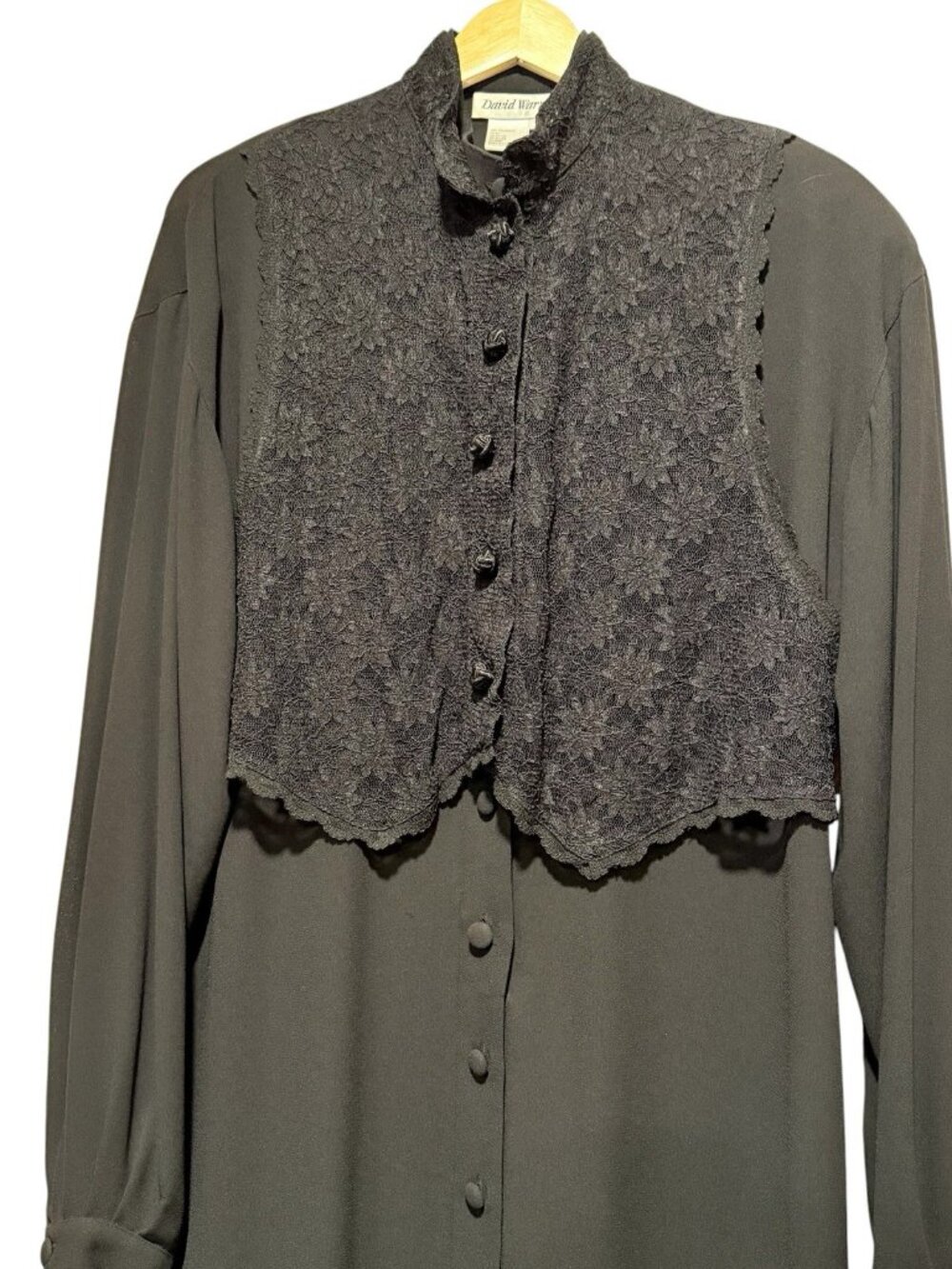 VTG David Warren Sz L Lace Vest Long Sleeve Button Front Midi Whimsigoth Dress - Picture 3 of 11